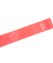 Load image into Gallery viewer, Future Fitness Resistance Bands